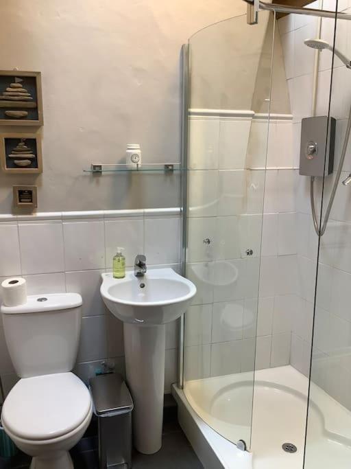 فيلا Apple Tree Corner Blaenporth المظهر الخارجي الصورة